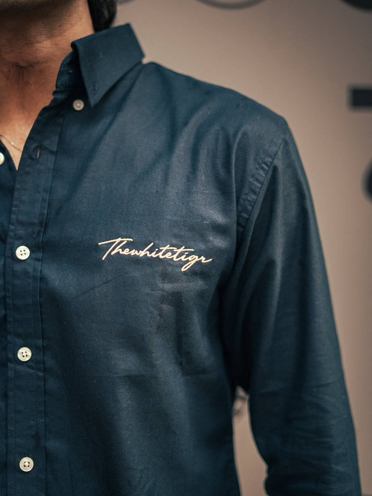 Blue Cotton Regular Fit Shirt