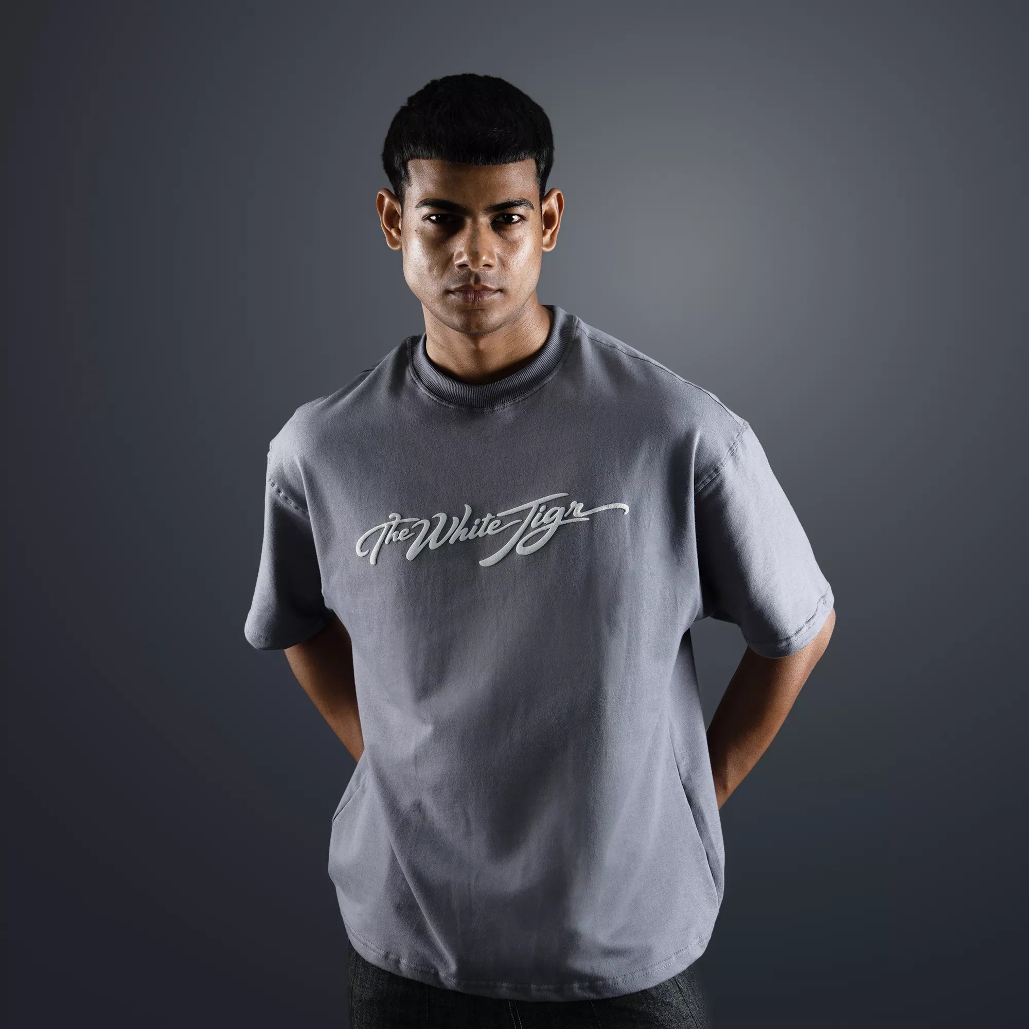 Grey Silver wings T-shirt