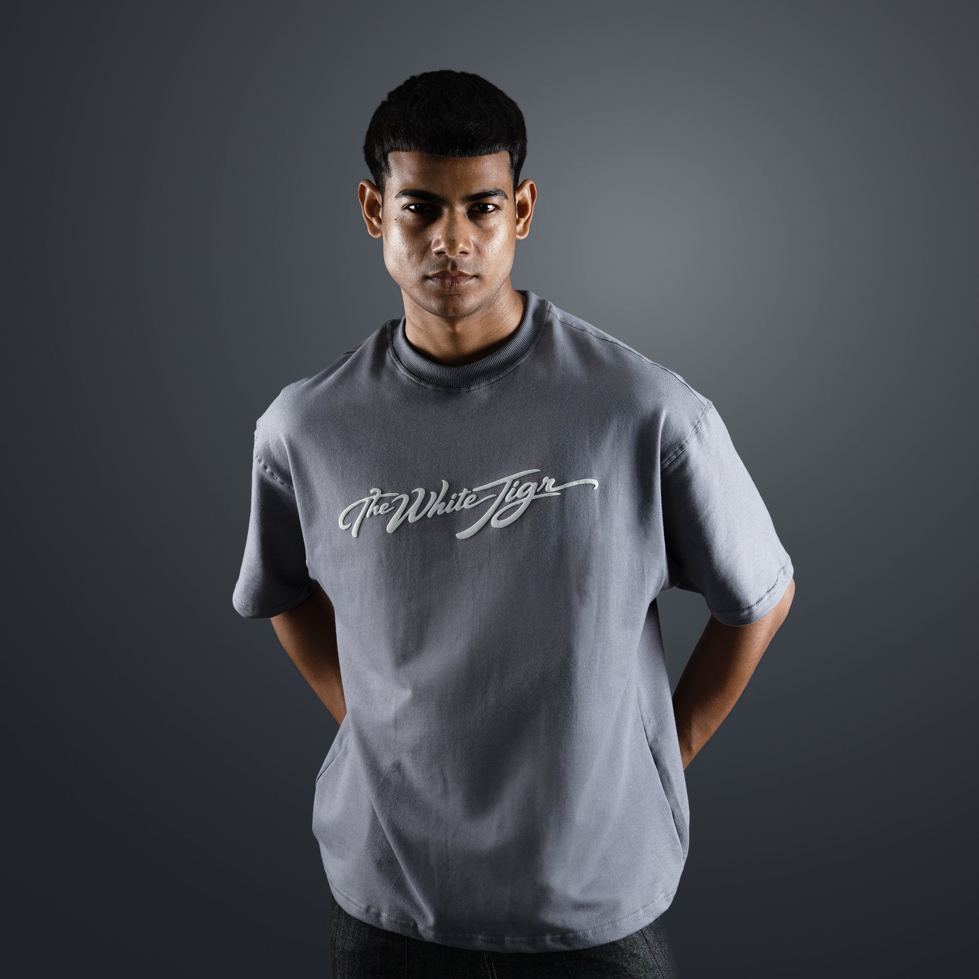 Grey Silver wings T-shirt